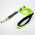 Nylon Pet Dog Bungee Leash with Snap Hook